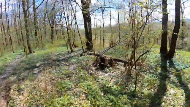 З дівчатами у болото на LINHAI 400 And BRP 1000