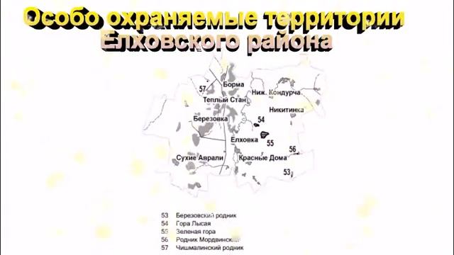 Использование проектного метода при обучении учащихся с ОВЗ