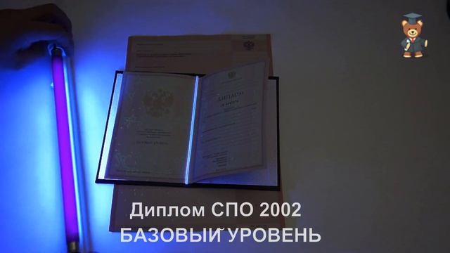 Диплом СПО 2002 БАЗОВЫЙ УРОВЕНЬ. Проверка ультрафиолетом смотреть онлайн