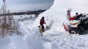 Японский снегоуборщик. Что может?
