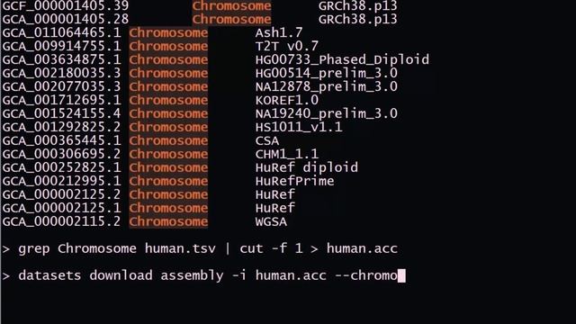 NCBI Datasets CoLab Presentation, ASHG2020 смотреть онлайн
