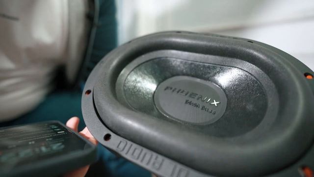 DL Audio Phoenix Black Bass 69 / САМЫЙ овальный сабвуфер