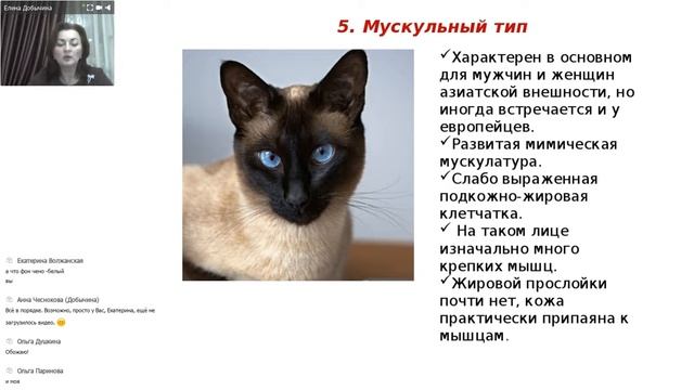 Типы старения кожи и молодильные яблоки смотреть онлайн