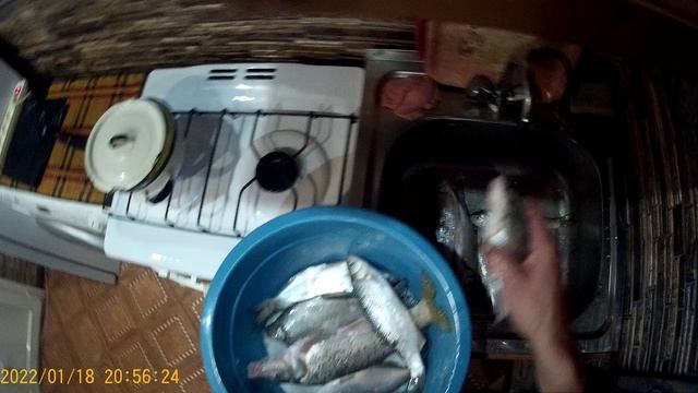 Солим и вялим белорыбицу. Часть 1