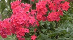 Легкая приятная музыка для ЖИЗНИ!!! Для ОТЛИЧНОГО настроения!!