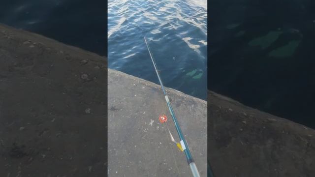 Срочно посмотреть!!!Очень удобный сигнализатор клева на любой вид рыбалки. смотреть онлайн