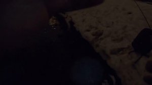 СУПЕР КРУТЫЕ ПРОВОДКИ ДЛЯ ЛОВЛИ НОЧНОГО СУДАКА НА ВОБЛЕР НА МОСКВА РЕКЕ ЗИМОЙ