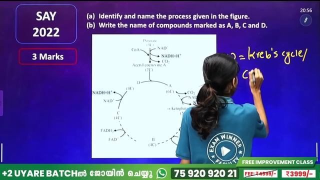 Plus One Improvement Exam | Biology | 100 Sure Questions | Exam Winner