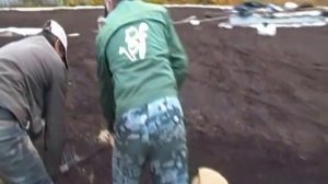 Укладка рулонного газона на крыше 5