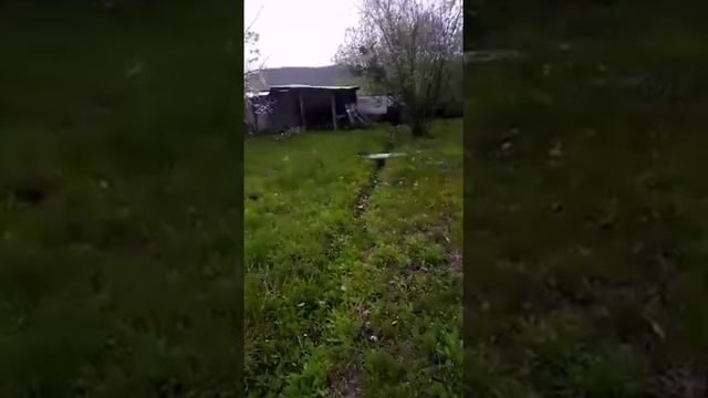 КРАТКИЙ ОБЗОР ДАЧНОГО УЧАСТКА!!! смотреть онлайн