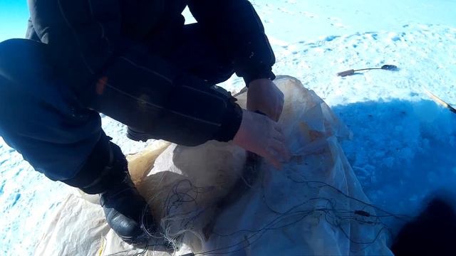 NEW VLOG-Пошел с ружьем на зайца один-Охото рыбалка- Байконур-Куан-Дорья смотреть онлайн