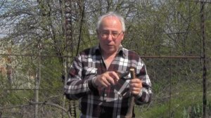 @Начинающим виноградарям. Прививка винограда. Сроки