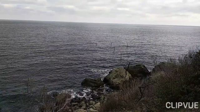 ВОРОНЦОВСКИЙ ПАРК В АЛУПКЕ. СПУСК К МОРЮ... смотреть онлайн