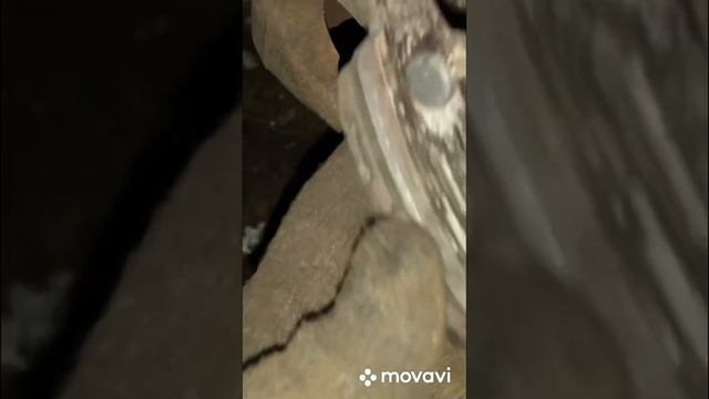 Скрип задних тормозов после замены колодок Skoda Octavia