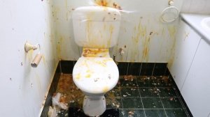 How To Fix a Leaking Toilet