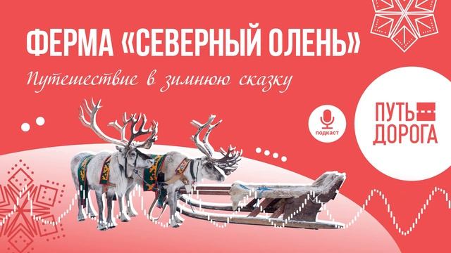 Путешествие к оленям: северная сказка в восточном Подмосковье смотреть онлайн