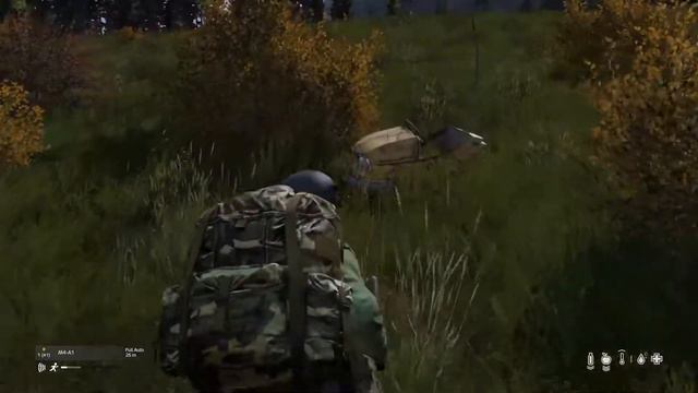 DAYZ CENTRAL смотреть онлайн