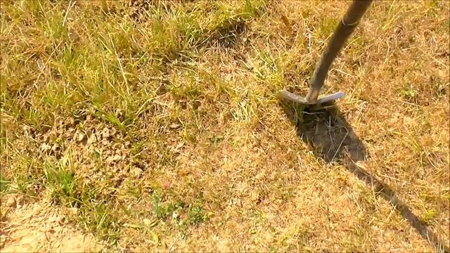 Поиски золота в Подмосковье! № 22 смотреть онлайн