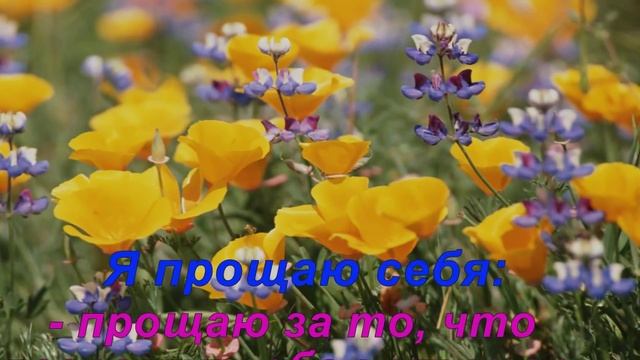 Медитация прощения смотреть онлайн