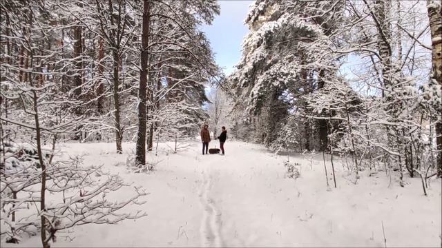 Жизнь в деревне. ПЕРЕЕХАТЬ В ГЛУШЬ или ВЫБРАТЬ ЖИЛУЮ ДЕРЕВНЮ. Наша семья Наш опыт. смотреть онлайн