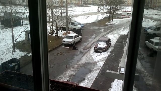 Отравленная собака смотреть онлайн