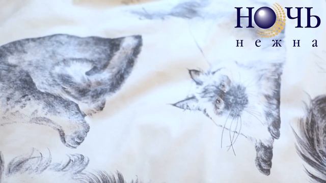 КПБ Барсик поплин (постельное бельё) смотреть онлайн