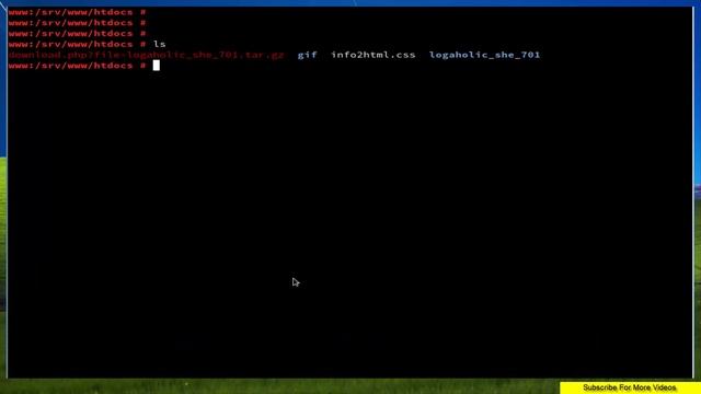 How To install Logaholic on Opensuse Leap 42.3 смотреть онлайн