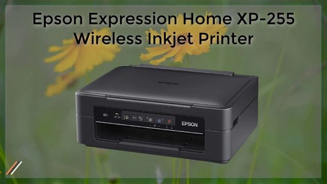 Epson Expression Home XP 255 Wireless Inkjet Printer [Review] смотреть онлайн