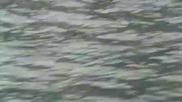 ПОЕЗДКА НА ТЕЛЕЦКОЕ ОЗЕРО. МОСКВИЧИ, отец, год 2007, г. Бийск смотреть онлайн