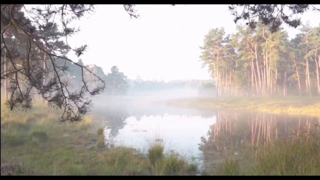 IMAM MAHDI смотреть онлайн