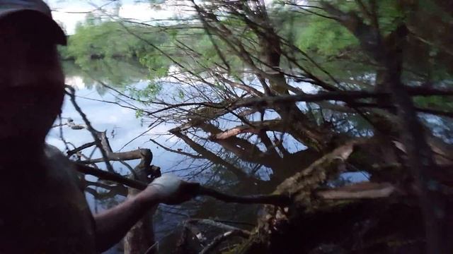 Гнездо дикой утки на дереве заброшенного пруда. смотреть онлайн
