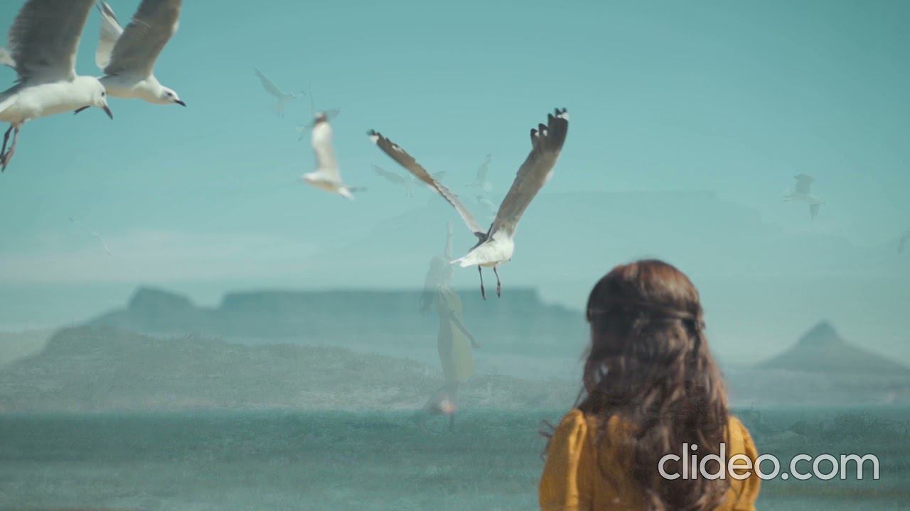 тот кто жил здесь смотреть онлайн