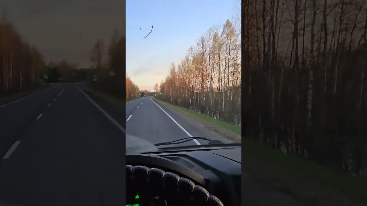 Покатил в Челябинск наконец-то выехал работать #дальнобойнагазели #дальнобойпороссии смотреть онлайн