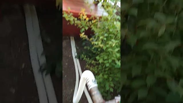 Крытый каркасный бассейн с подогревом и купольной крышей. смотреть онлайн