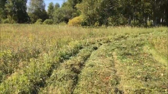 Последний покос! Испортили поле! Три поломки за день! смотреть онлайн