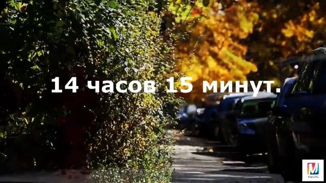 Как заказывать везение Процесс, занимающий 3 минуты Марта Николаева Гарина смотреть онлайн