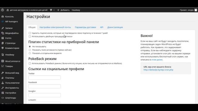 Wordpress - создание формы подписки и email рассылки с помощью плагина WpNewsman смотреть онлайн