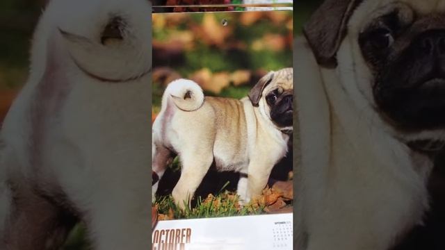 Худшие Ошибки в Фотошопе смотреть онлайн