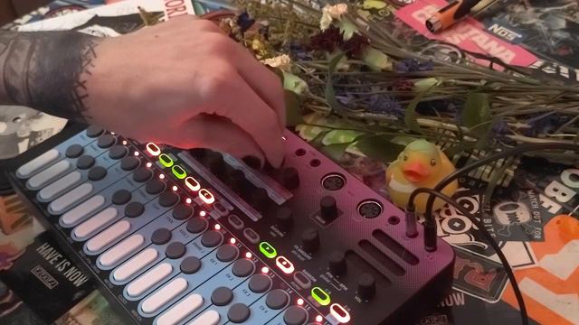 Liven Bass & Beats | Bass synth patch demo, "Extreme" and "Standard" presets | Synthesizer Groovebo смотреть онлайн