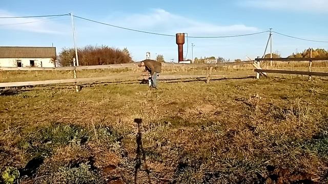 Ответ на вопрос почему не строю капитальные сараи. смотреть онлайн