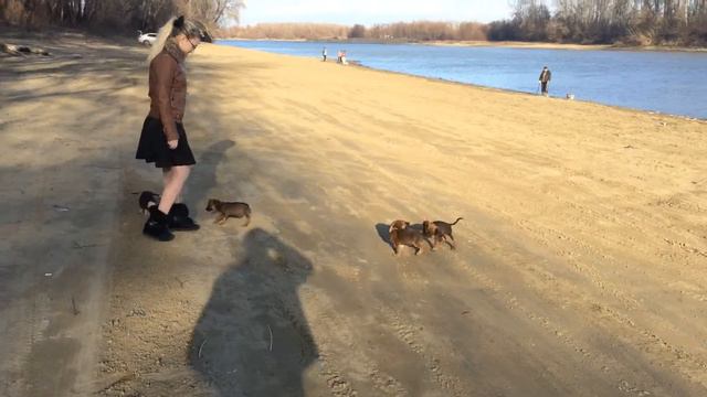 Река Кубань смотреть онлайн
