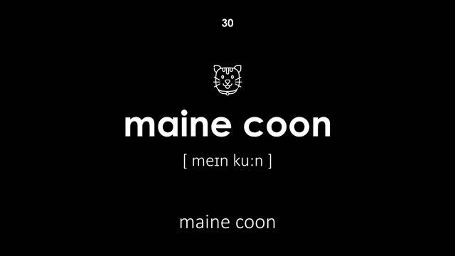 Razze di gatti in inglese (Voce femminile, sfondo nero) смотреть онлайн