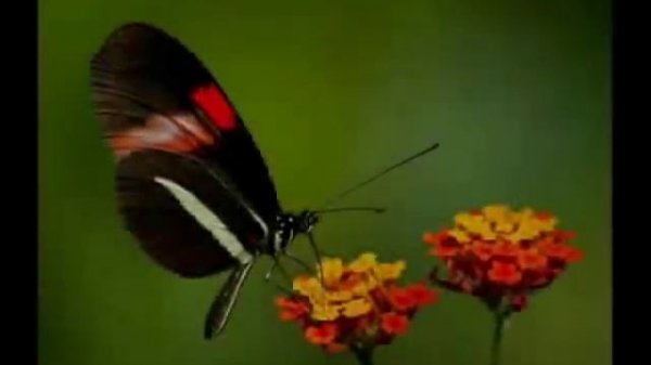 Helloween - Windmill (now with english subs)