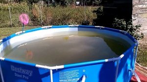 Каркасный бассейн BESTWAY на даче,  как установить, как почистить бассейн и обеззаразить воду