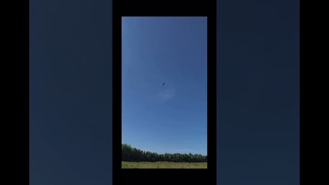 Пермь - Кунгур 100 км на велосипеде??♂️. #велоспорт #велотуризм #giant #пермь смотреть онлайн