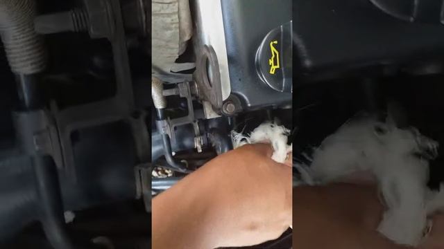 limpeza do sensor da bobina do(Ford focus 1.8 16v 2002) parte 5 смотреть онлайн