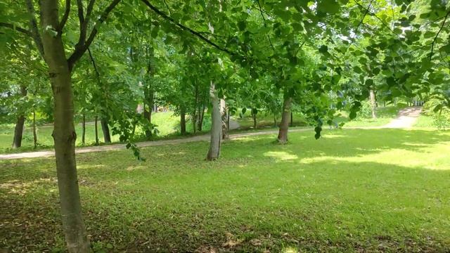 Основная камера Mi 11 Ultra FullHD 30 FPS + STAB + Zoom