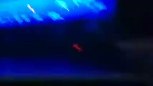 21099 карбюратор Нужна ваша помощь смотреть онлайн