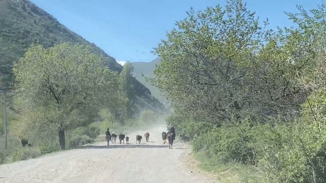 Chunkurchak Kyrgyzstan ?? | Exploring Kyrgyzstan | Zip Line Try Ki ? | Khuzaima Tariq смотреть онлайн