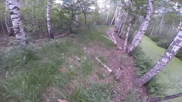 Ловля щуки на невскую катушку, видео rybachil.ru смотреть онлайн